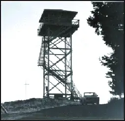 1981 photo