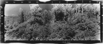 Clover Springs Lookout panoramic 7-31-1936 (N)
