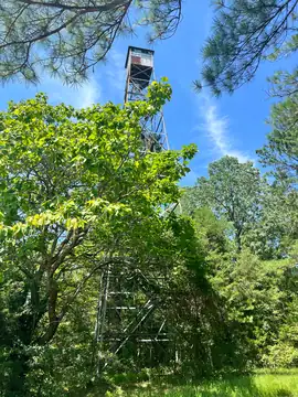 Photo of Liberty Lookout Tower (1)