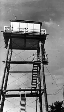 Bertha Hill in 1958