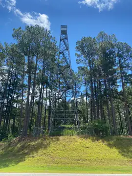 Photo of Energy Lookout Tower