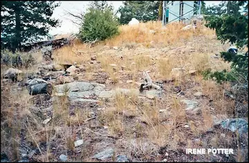 Photo of Little Buck Mountain Lookout Site