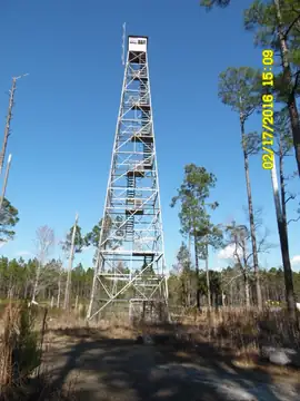 Photo of Jonesboro Fire Tower