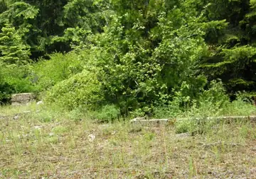 Railroad Gap Lookout site 2007