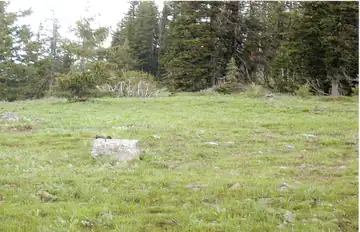Edwards Butte Lookout site 2010