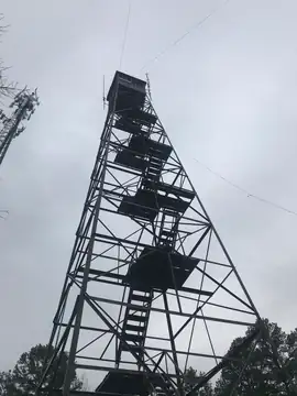 Photo of Turkey Knob Lookout Tower