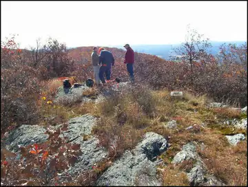 Photo of Alander Mountain Tower Site