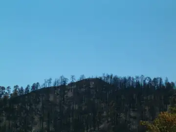 Distant view of Barfoot site after destruction