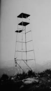 1917 photo