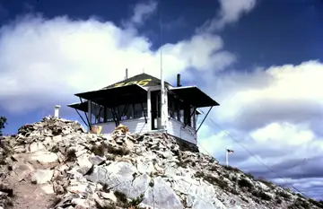 1966 photo