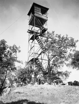 1934