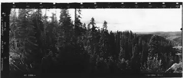 Newaukum Lookout panoramic 7-30-1934 (SW)