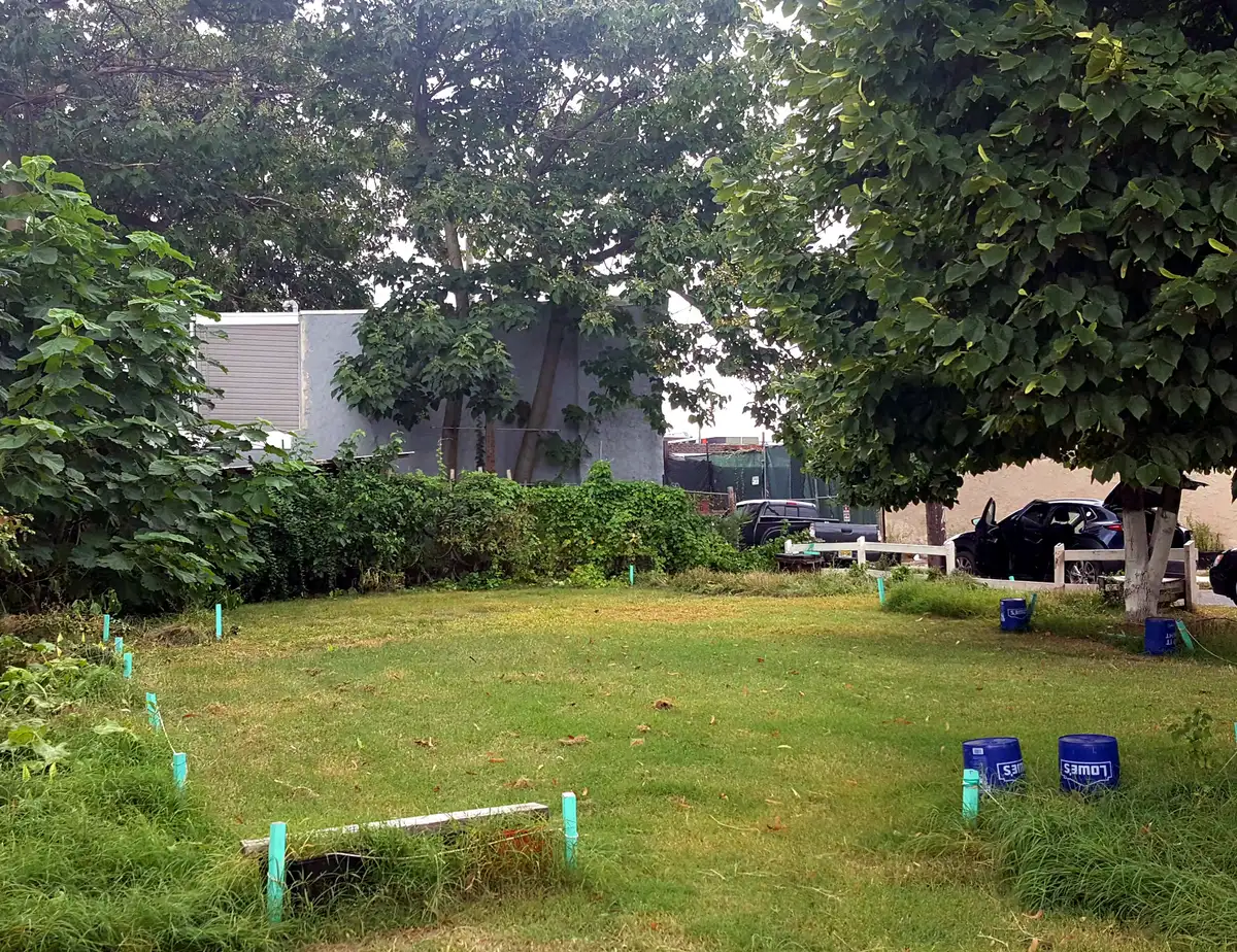 A vacant grass lot in West Kensington, Philadelphia, mowed and staked out with teal survey flags marking the corners, with a stucco wall, hedge and parked cars behind it.