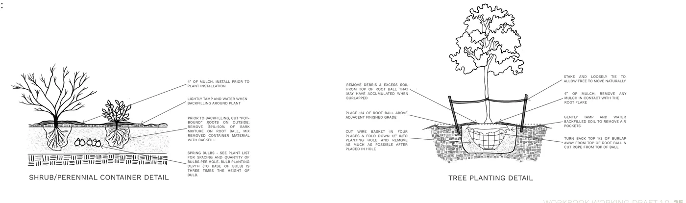 Two planting detail diagrams: a shrub/perennial container planting detail showing mulch depth and backfill, and a tree planting detail showing root-ball placement, staking, mulch and burlap removal