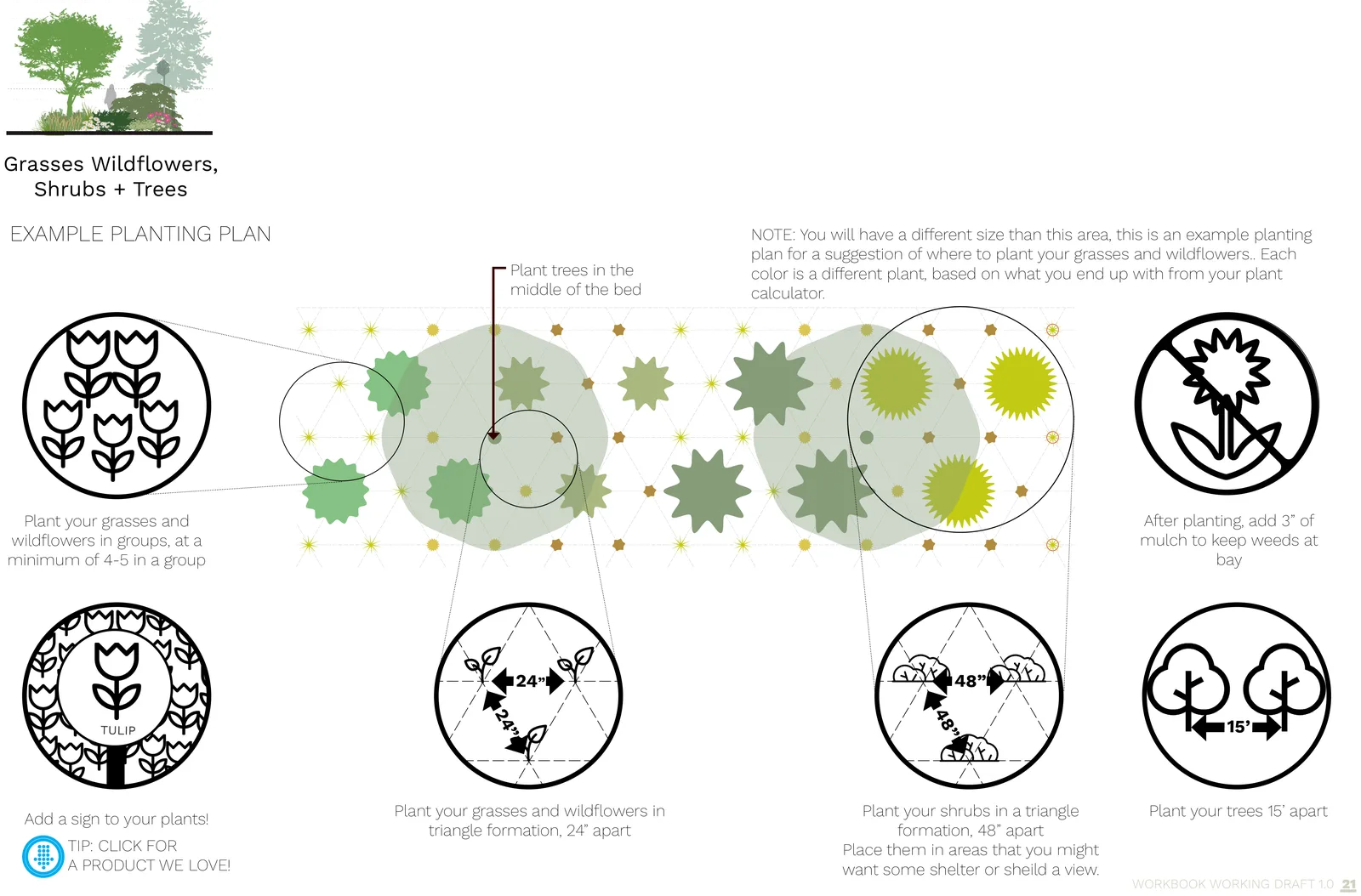 Example planting plan for the grasses, wildflowers, shrubs + trees palette, with planting spacing and grouping called out