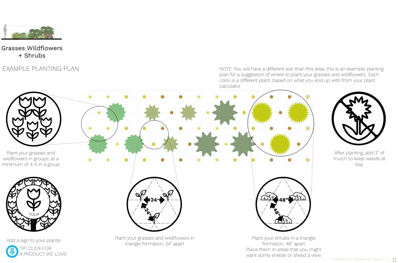 Example planting plan for the grasses, wildflowers + shrubs palette, with planting spacing and grouping called out