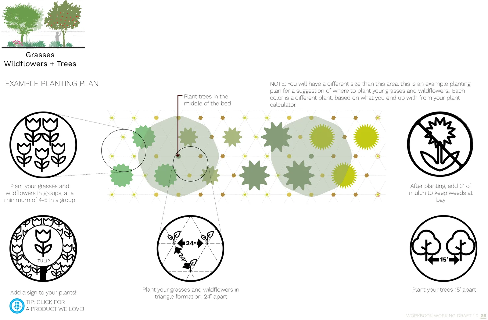Example planting plan for the grasses, wildflowers + trees palette, with planting spacing and grouping called out