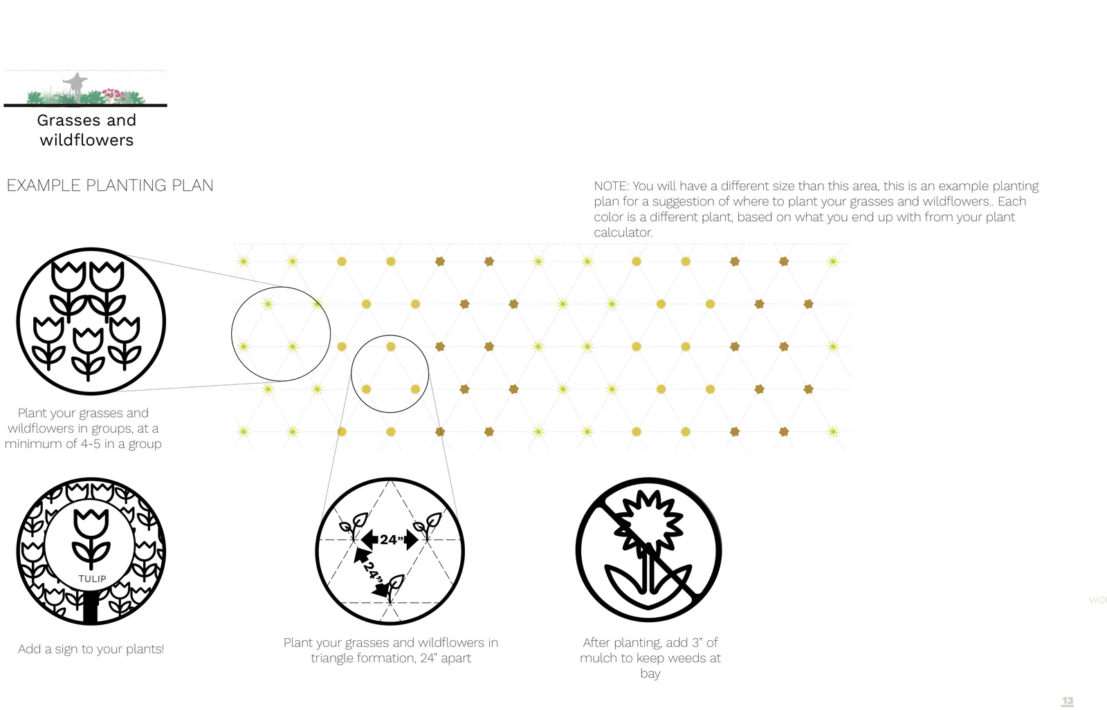 Example planting plan for the grasses & wildflowers palette, with planting spacing and grouping called out