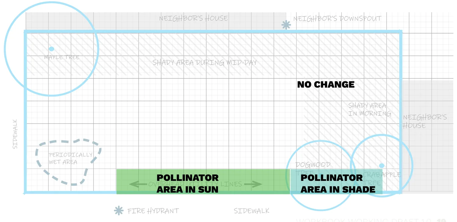 Grid diagram of a patch marked with existing conditions — a neighbor's house and downspout, a maple tree, a periodically wet area, a dogwood and crabapple tree, overhead utility lines and a fire hydrant — with pollinator planting areas marked in sun and in shade